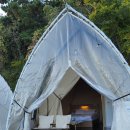 스페이스 풀빌라 | 영덕 오션뷰 글램핑 스페이스영덕, 애견 동반 풀빌라 숙소 추천