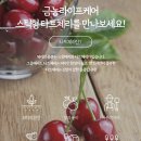 금농라이프케어