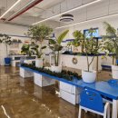 동화3안길-5 이미지