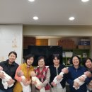 닥터맘 이미지