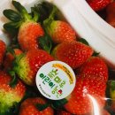 여주-0758 네이버블로그