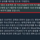 씨에스트럼