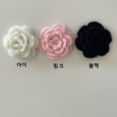 H7881 Daum카페
