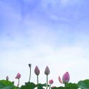 홍원항바다회수산
