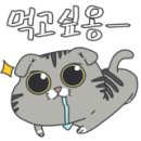 오*식 이미지