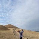 송학동-02 이미지