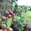 바우네 민박 이미지