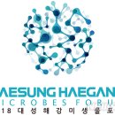 해강 이미지