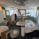 숲냥숲냥 이미지