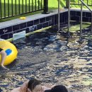 킹콩키즈풀빌라 이미지