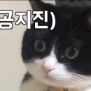 진월어린이집 이미지