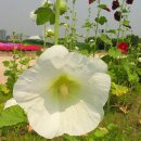 한강시민공원(자연학습장) 이미지