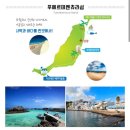 [W rec.- 14] 신혼여행지 고르기! (스위스+푸에르테벤투라+바르셀로나 결정 | 실론투어 상담 및 계약 후기)