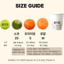 노지푸드 | [제주 귤 배송] “올바른푸드 서귀포 노지 극조생 감귤” 제주도 감귤 구매 솔직 후기!