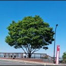 신아공인중개사사무소 이미지