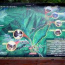 화원자연휴양림 이미지