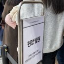 11560-여의도동01-127 | 서울 폼페이 유물전 할인 티켓 도슨트 주말 웨이팅 외 정보