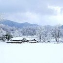 설경 Daum카페