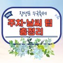 장생포초등학교 | 2025 장생포 수국축제 주차·날씨 팁 총정리