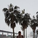 표선면-7 이미지