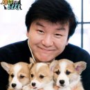 딩고 이미지