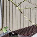 돈꿀돼지국밥화명점 이미지