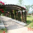 공원플라워 이미지