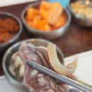 소한마리국밥 | 천안시청맛집 현대정육점 신불당본점 육회비빔밥&소한마리모듬수육 솔직후기