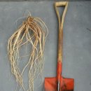 도화리농장 이미지