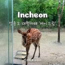 드림꽃사슴 | 영종도 '메이드림' 꽃사슴 먹이체험 놀거리 많은 대형카페, 주차장, 전시정보