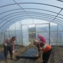 안고랑농장 이미지