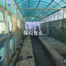 통일로세차장 이미지