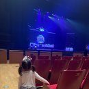 5살 아이와 티니핑 뮤지컬 🩷 고양 어울림누리 별모래극장 후기 (엄마도 재밌었음)