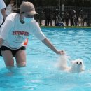 통일동물병원 이미지