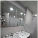 둥지(네스트) 이미지