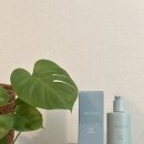 은은한 머스크향이 좋은 에이엠트리 프레그런스 숲 바디워시/ 약산성 저자극 바디워시 추천