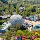 엑스랜드 이미지