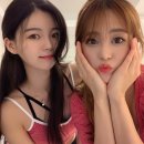 디엠짐 이미지