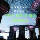 [겨울방학 싱가포르]가든스 바이더베이, 슈퍼트리쇼 가든랩소디 운영시간, 입장권, 관람 후기