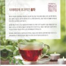 성모요양보호사교육원 이미지