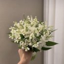 플로라웨딩 | 🤍💐 제이스 플로라 웨딩 부케 후기 💐🤍