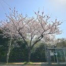 서호호근로 이미지