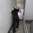 정성인력사무소 | 영등포 마포 건설인력 곰방양중 단단한 청년들로 현장 마감 확실하게