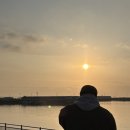 오이도 수산물 시장 후기 | 횟집 추천(목포수산), 가격, 이용방법