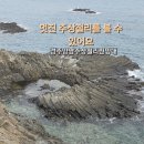경주 동쪽 여행 양남주상절리 전망대 : 주차팁, 아이와 방문후기