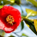 죽림농장 이미지