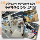 캣에어 | 고양이카페+에어바운스+실내캠핑 모든게 한번에!? 또 가고싶은 충북 쵸이캣 찐후기!