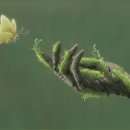 기억의 재구성 (D 이미지