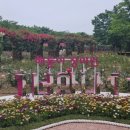 주도, 해돋이 이미지