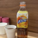 증평역 | 증평 양꼬치 훠궈 무한리필 가성비 대박 증평역맛집